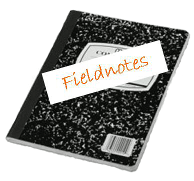 Fieldnotes | An Archaeology and CRM Blog